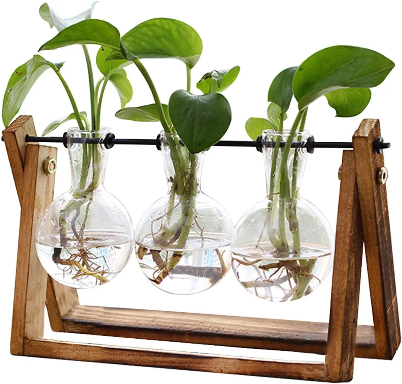 Mini Glass Terrarium Planter