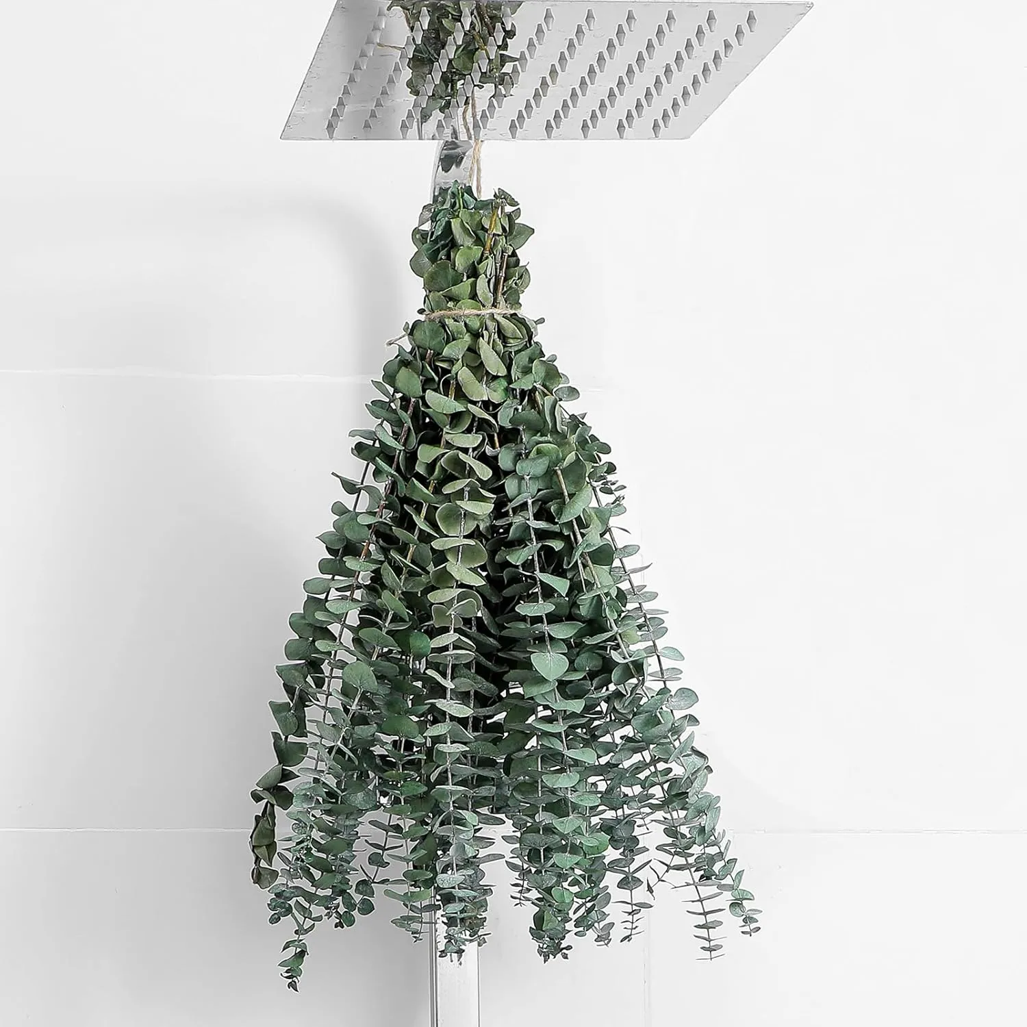 Natural Eucalyptus Stems Bundle